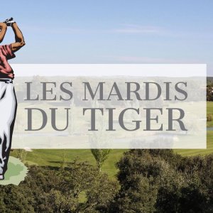 mardi du tiger